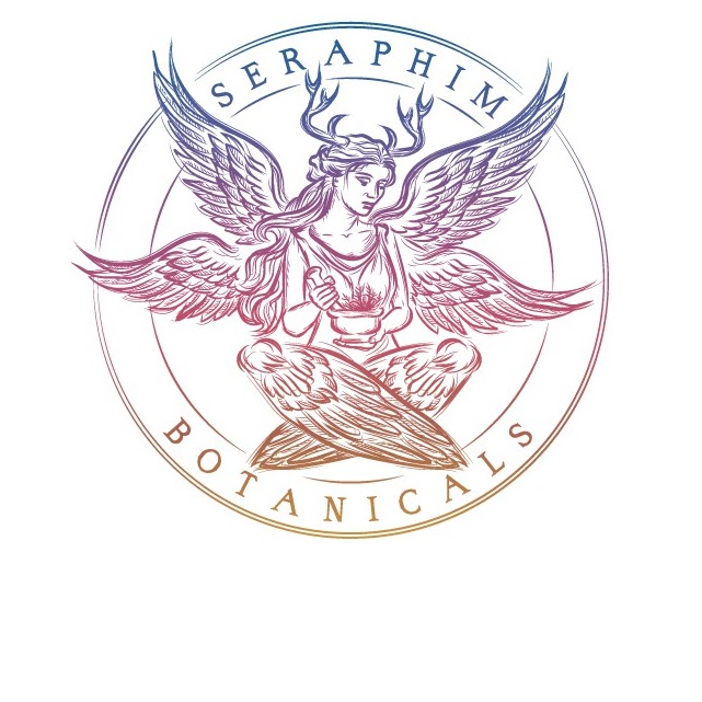 Logo Project 6